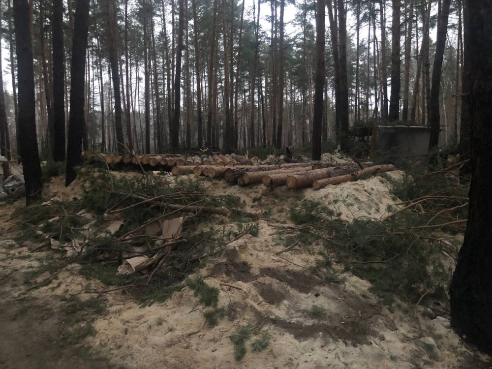 ����� �� ����������� "�" �������� ��������� ������� � ������� ���������� ��� ��� ���������