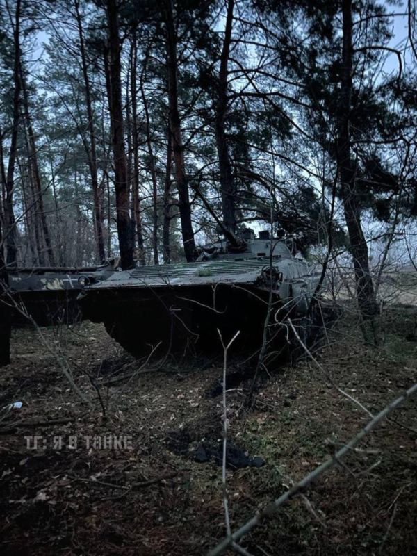 ���� �� �������: ��������� ����������� �� ������� 14-� ���� ��� �� ��������� �����������