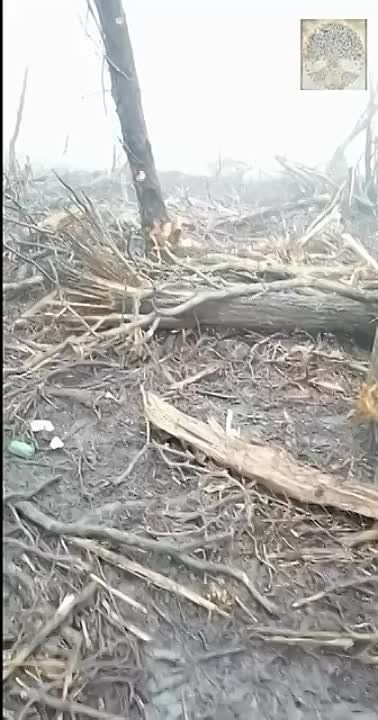 ������ �� ������ �������-���������, ����� ��������-����� �������