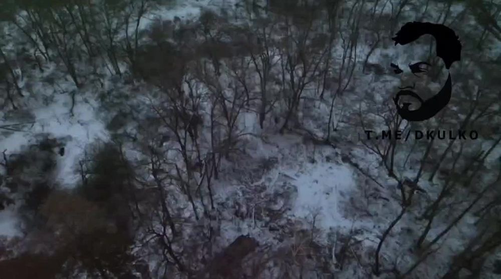 ����� ����������� �� ��������� �������������� ��-77 �������� ���