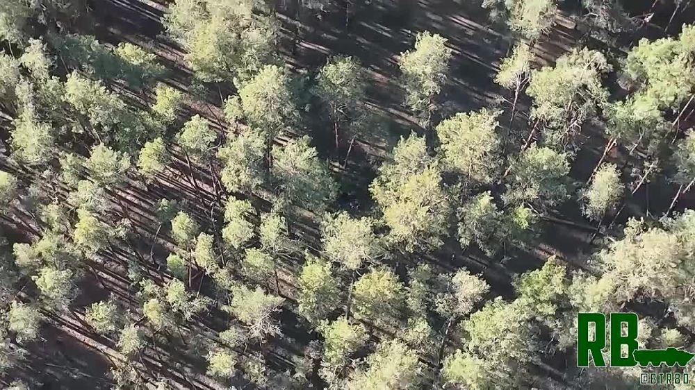 Артиллерия накрывает позиции ВСУ в лесу под Кременной