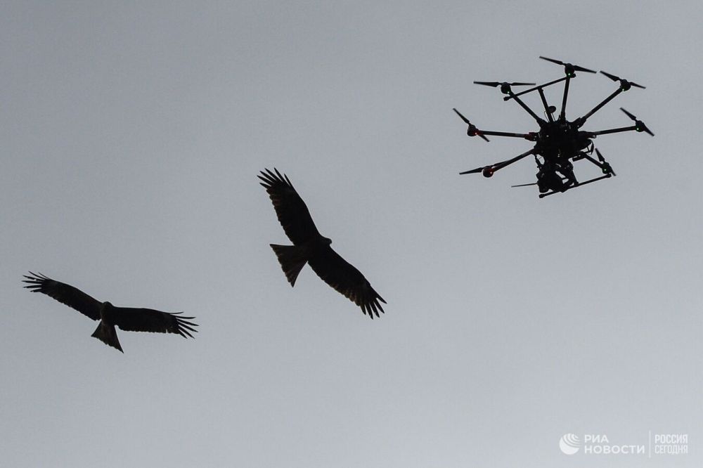 ���������� ������ ���������� ������ ���������� ����������� ��������������