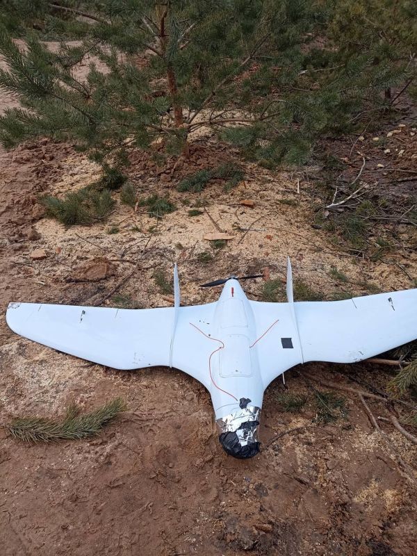 ��������� "�����", ������� ���������� ���� ����� �� ����������� ������� - ���������