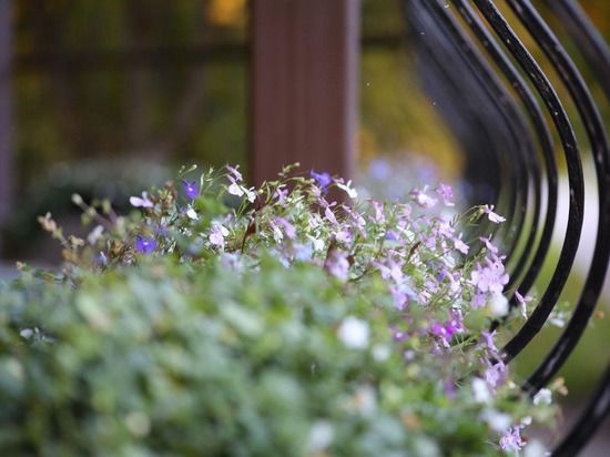 � ��������� �� ����������� ���� ����� � ���������� ������� ����� ��������� ����������