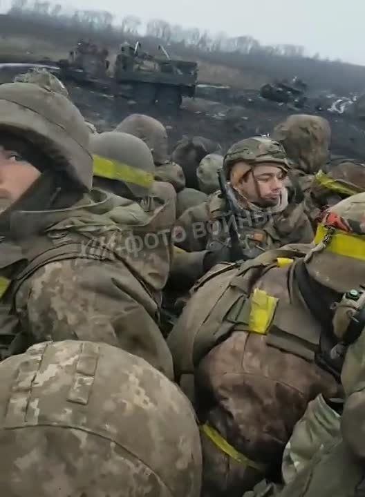 ������ � ������ ������� � ��������� ������ �������� ������������� ���