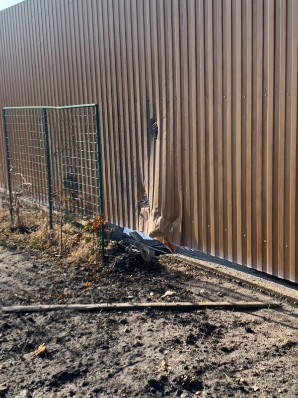 ���������� ����������� ���� ����������� ��������