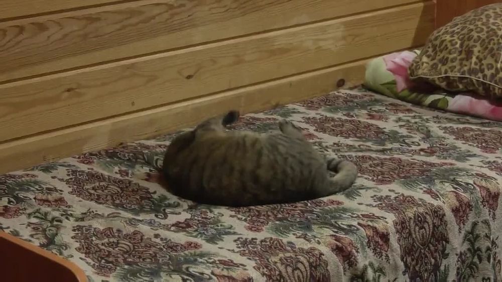 В тепле и уюте, а главное – вместе