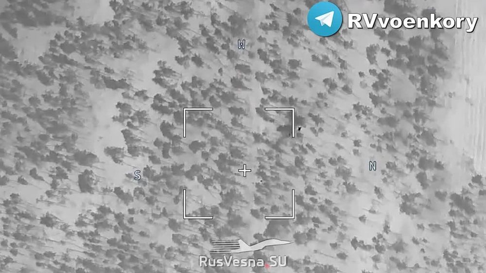 ��� � ���������: ���� ������� � ��� ���������� ����� ����� �����