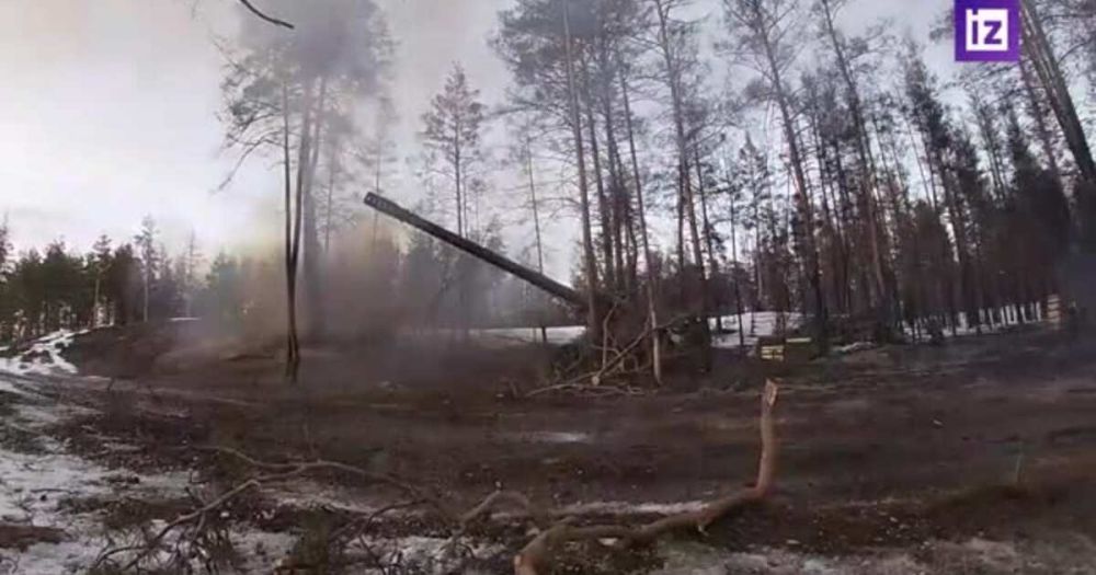 ВС РФ пресекли деятельность пяти украинских ДРГ в ЛНР и под Харьковом