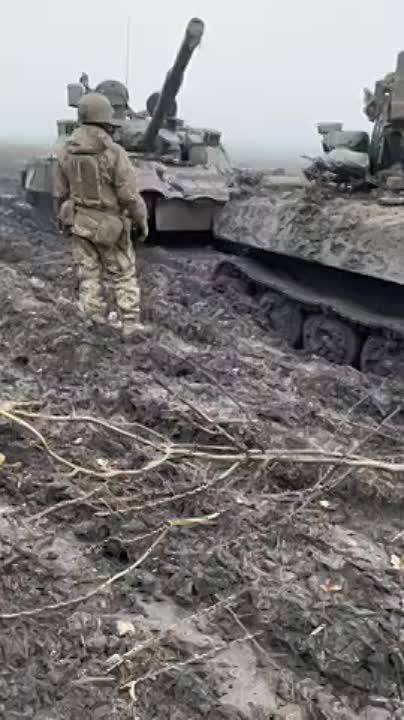 ��� ������� �������� ������� �� ������� ������� - ���������