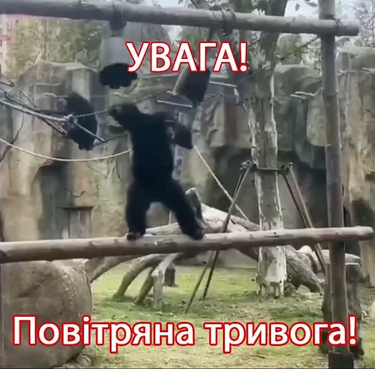 Андрей Марочко: В стране 404 объявлена воздушная тревога в Полтавской, Харьковской, Днепропетровской, Сумской областях