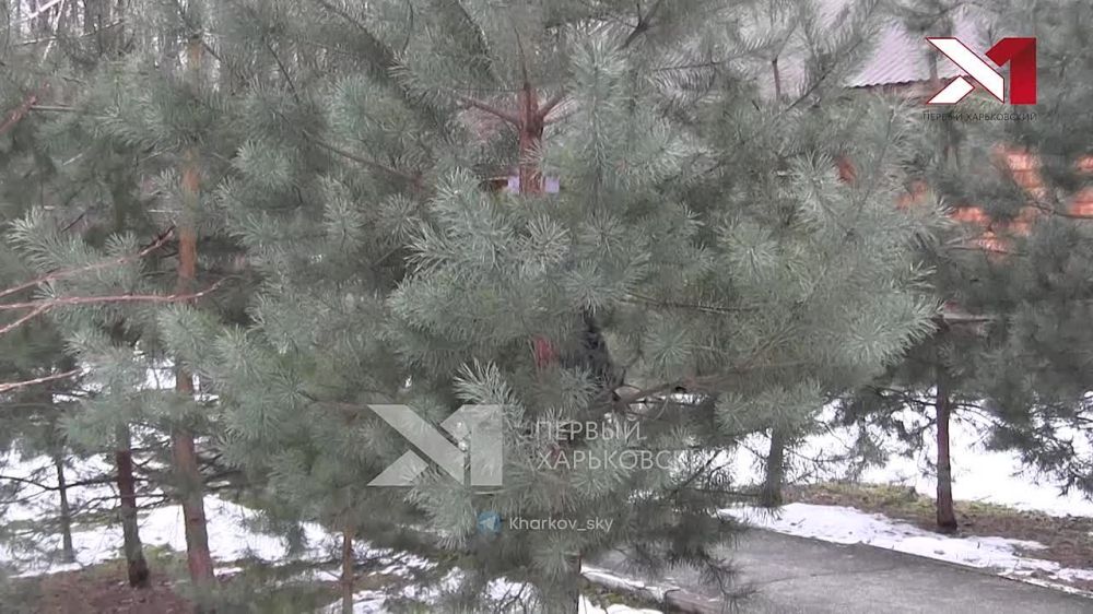 ��� ������� ������� ������ �� ������������ ��� ����������� ������� ��������� � ������