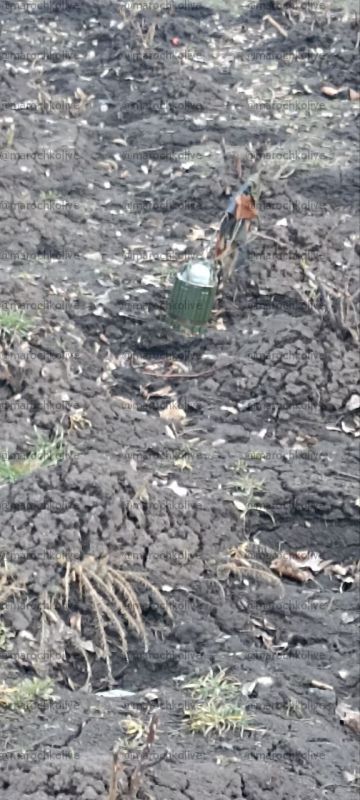 ��� ��� ������ ���� ��������� ������������� ����������� ������ �������