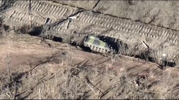  :   M113G4DK,      