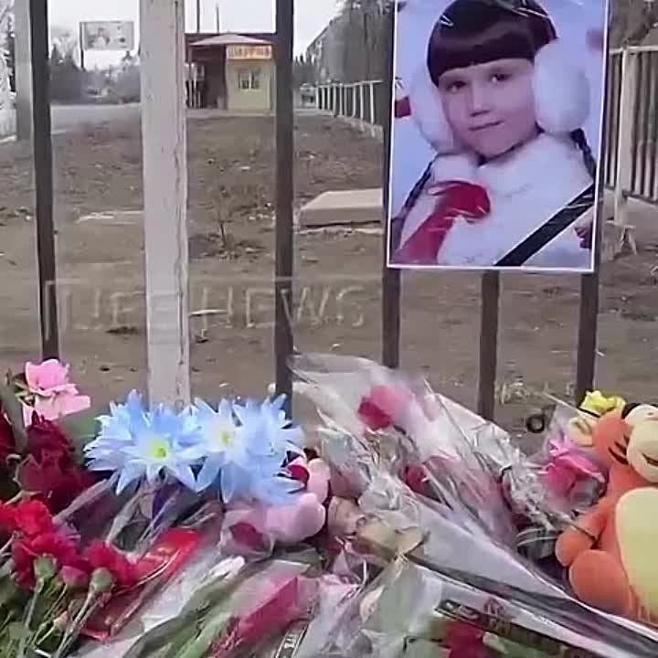 �������� ����������: �������������� 2015 ���