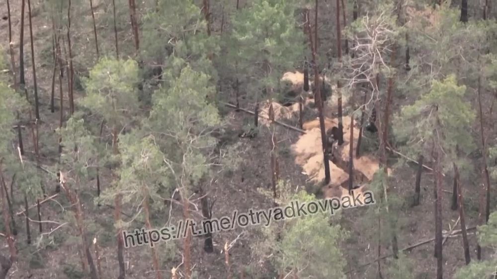 ���� �������� � ����������� ������� ����������� ���������� ������������