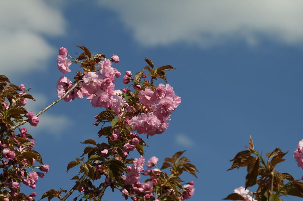 ����� ������-������: �� ��������� ��� ������ �� ������ ������� �������������� ��� 33 ������� �� ����������, �����������, ����������� ��������, ������������ � ���������� ��� ������