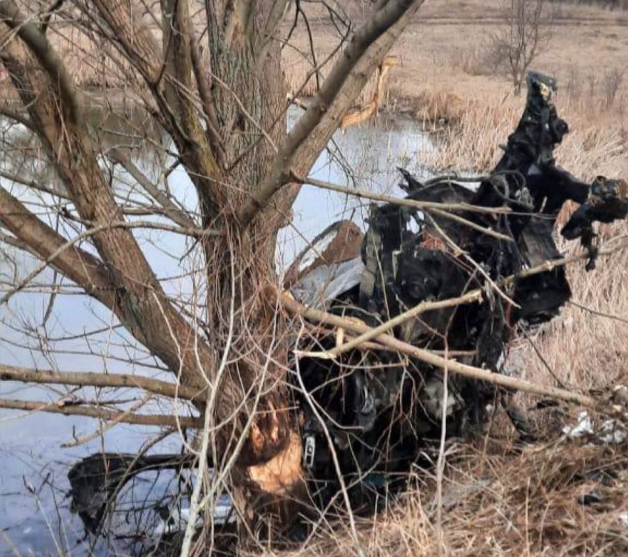 ������ ����������� ������� ���������� �� ����