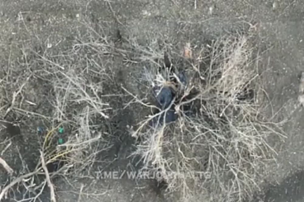 ����� 6-� ����� �� ��������� ����������� �������� ���������� ��� ������ ����