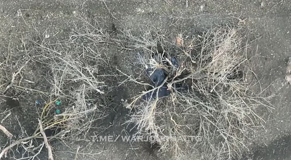 ����� ������� � ������������� ����� �� ����������