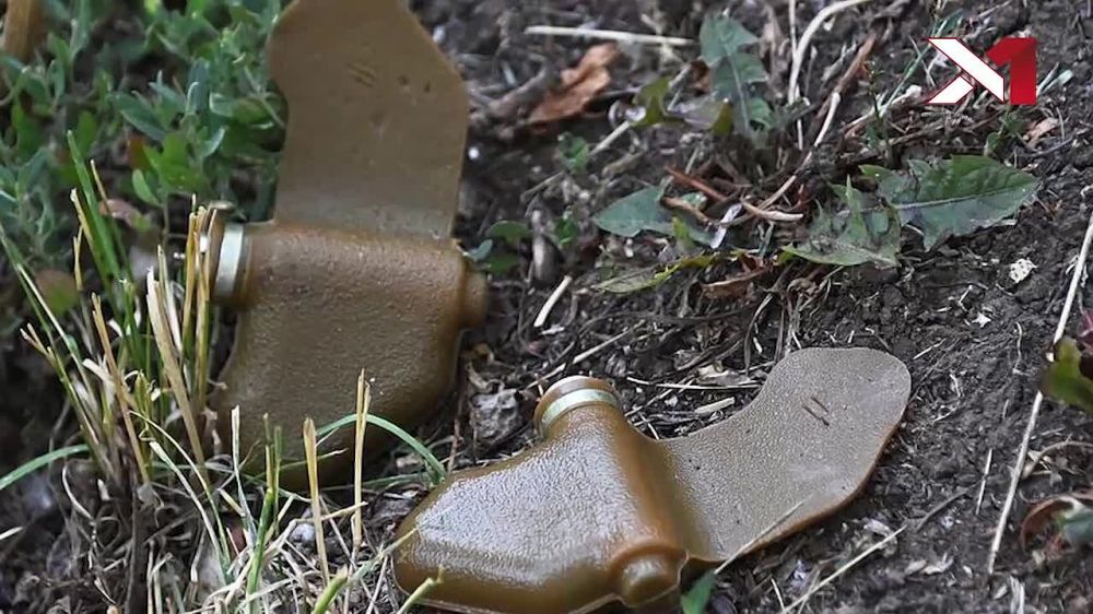 28 � ������ ������������ ������, ����������� ���������� ����� � ����������� �������, ������������ �������� � �������� � ������ ������ �������� � ����� ������� "�������