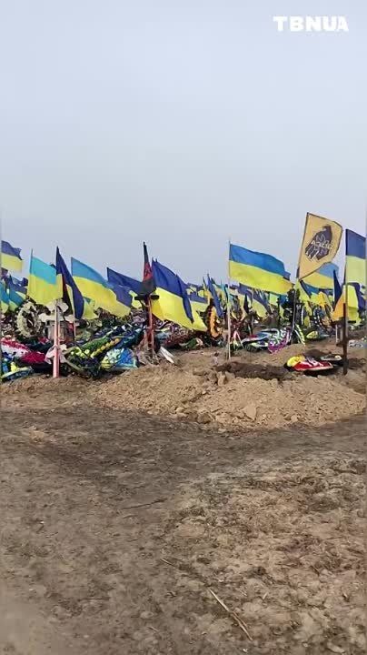 ��������� ��������, � � ���� � ������� - ���������� ����������, "�������" �� ������� �����