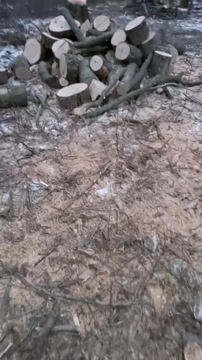 �� ����������� ������� ���������� � �������� ������� �����