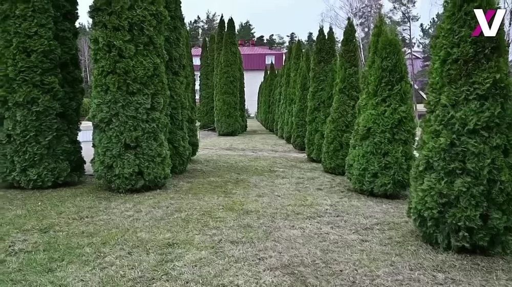 Военно-гражданская администрация не только помогла эвакуировать пострадавших жителей Харьковской области на территорию...