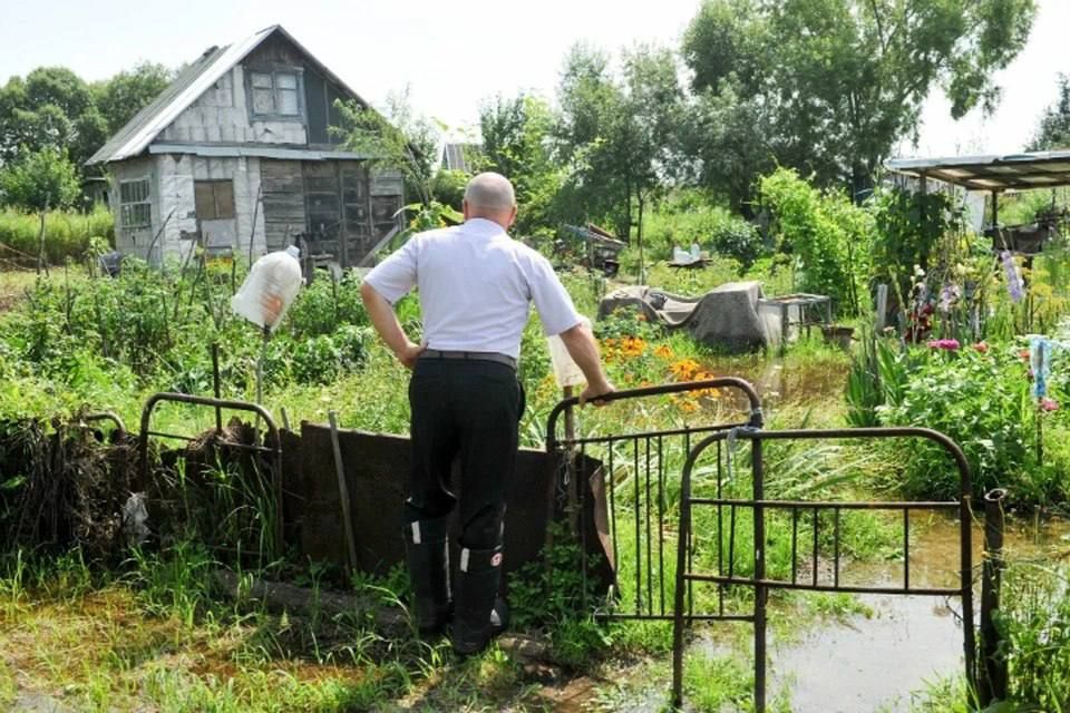 ��� �� ��������� ������ �� �������: ������ ������� ������ ������� ��������