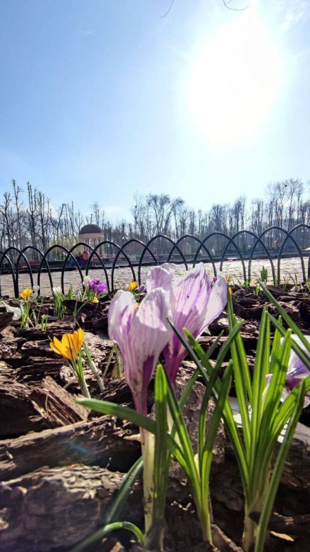 Резюмируем(05.04.23):. Постановочные съемки ВСУ