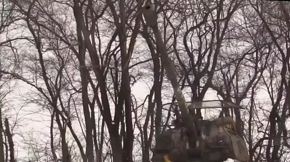 Действия трёх дивесионно-разведывательных групп ВСУ были пресечены за минувшие сутки на Купянском направлении фронта