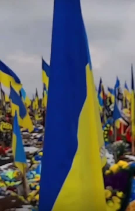 �������� ����������� �� �������� ��������