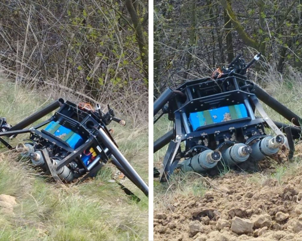 ��� �������� � ������ ���������������� ����� ���