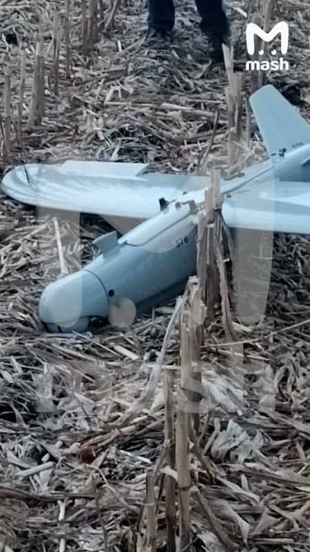 ���������� ����������� "������" �������� �������������� �� �� � ������� �������