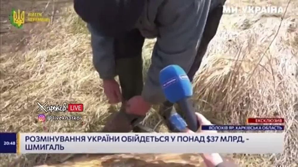 ��� ������� ����������� ������� �������� ����������� ���� �� ������ ������