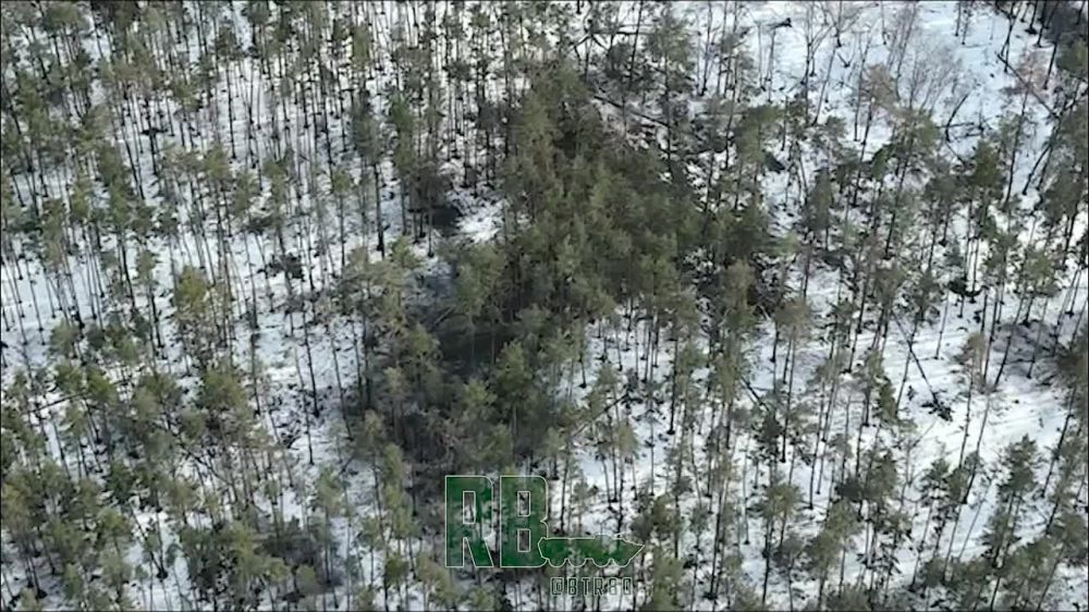 ������ �������� � ������������� ���������� ��������������� ���������� �������� � ����� ���������