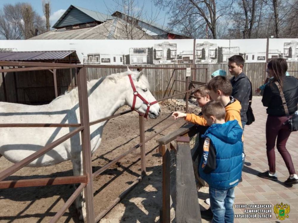 ���������� ������� ������ ������-����������� ������������� �� ������ ������� ������������ ���������� ����� ��� �����-����������� ������������ �� ����������� �������