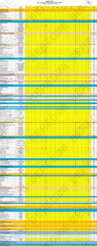 ��������� ������ �Beregini� ������� ������ � ������� ����������� ����������� ����� ��������