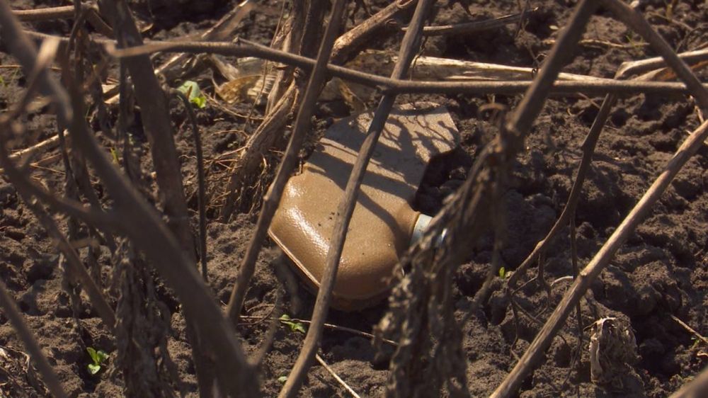 ����������� ������� � ����� ������� �� ���������� ������ �� ��������������