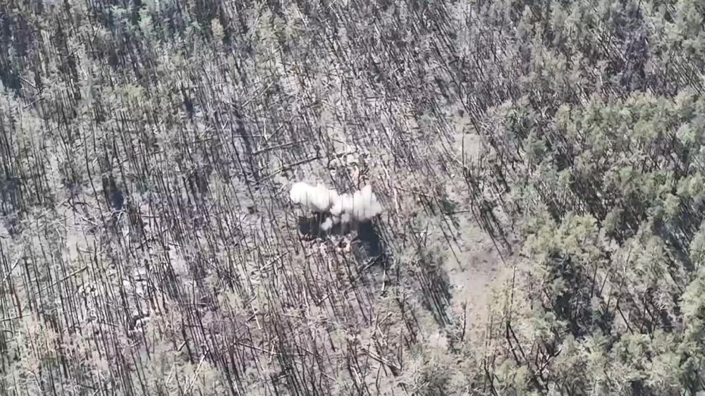 2�9 "����" �������������� ������������� ����������� ����������� � ������� ��������������� ������� ���� � �������������� �������� ��������� � ��������� ����