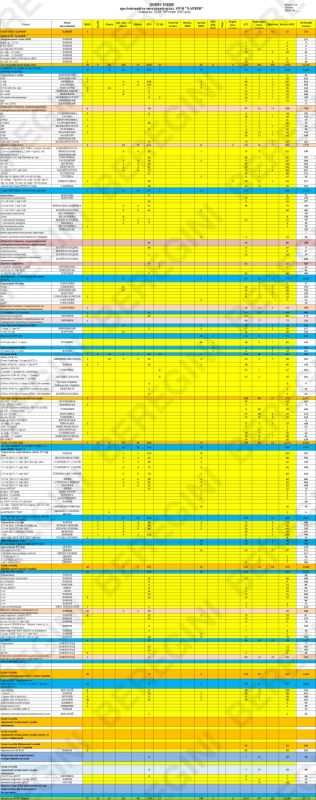 ������ ������������ ������ ����������� ����������� ����� "�������"