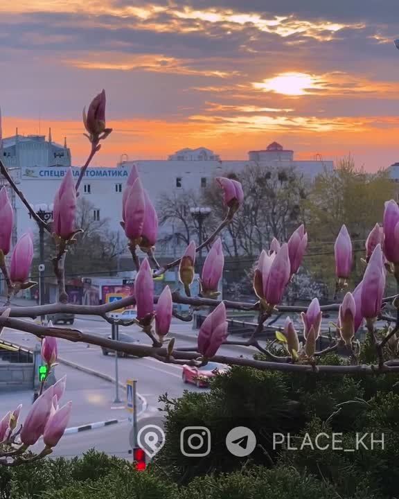 Резюмируем(16.04.23):. Со Светлым Христовым Воскресением!