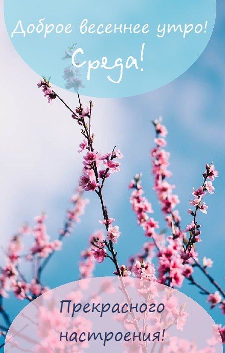 � ������ �����! ����� ������ ����������!