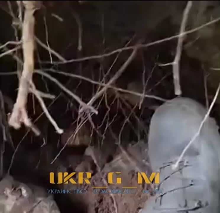 ��������� ����� ��������