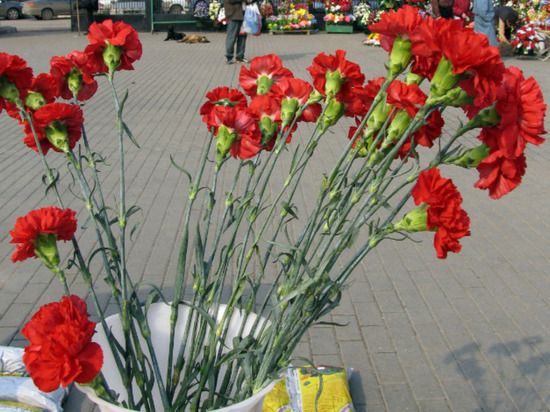 ���������� ����� ��������� ����������� ���� �� �������