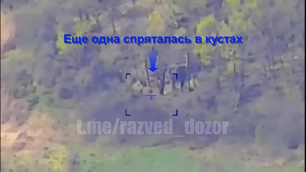 "�����-30"+"����������"