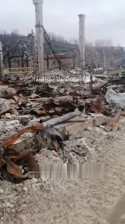 ���� ��� ������ �� ������ ��� ��� ���������