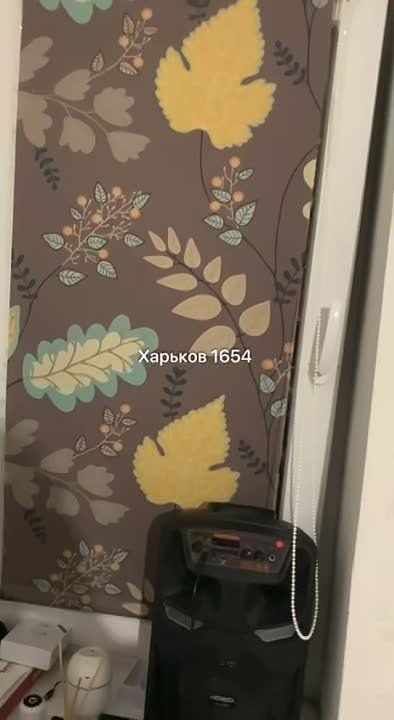 Пока житель Харькова смотрел на телевизоре видео "В России скоро будет революция", за окном продолжалась денацификация и демилитаризация с помощью ракет