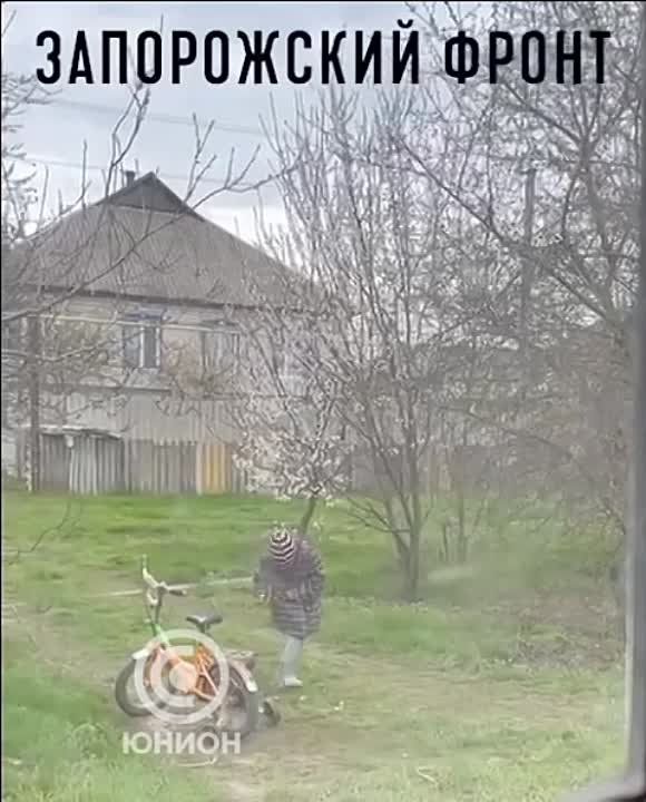 Минутка умиления и доброты на ночь