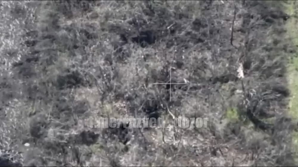 �� ��������� ����������� ���� ���������� ������� ������ ������������� ���������, �������� @razved_dozor